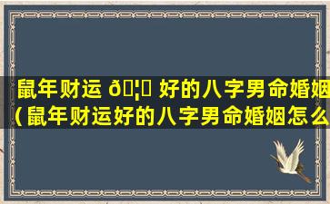 鼠年财运 🦉 好的八字男命婚姻（鼠年财运好的八字男命婚姻怎么样）